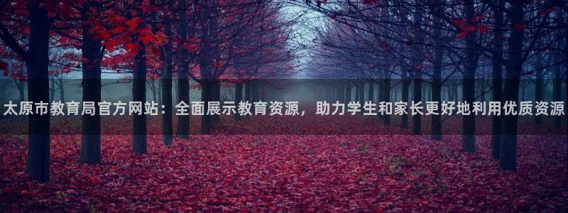 安信12代理