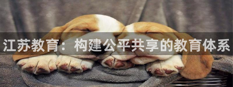 安信12代理