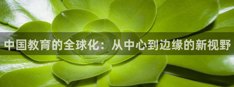 奇安信12流转场
