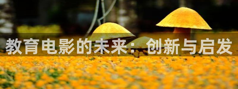 安信12包赔
