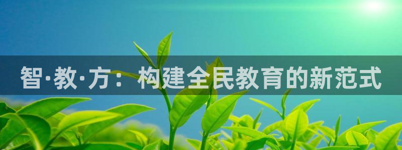 安信12招商