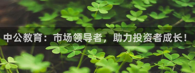 下载安信12