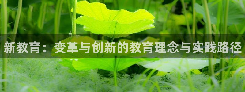 安信12app下载