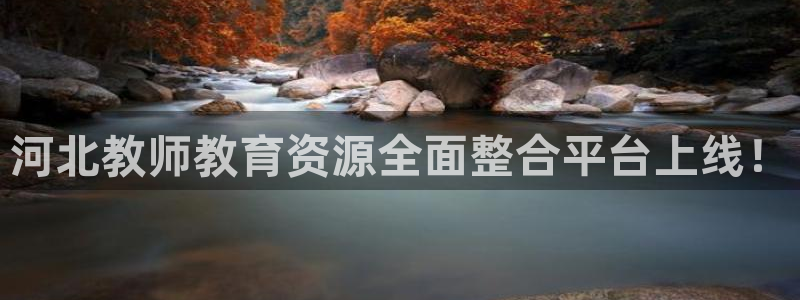 安信证券手机壳12