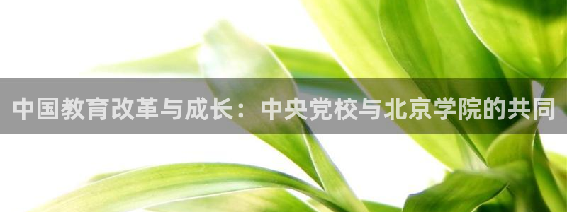 安信12网站