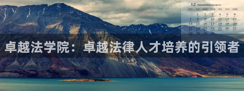 安信证券手机壳12