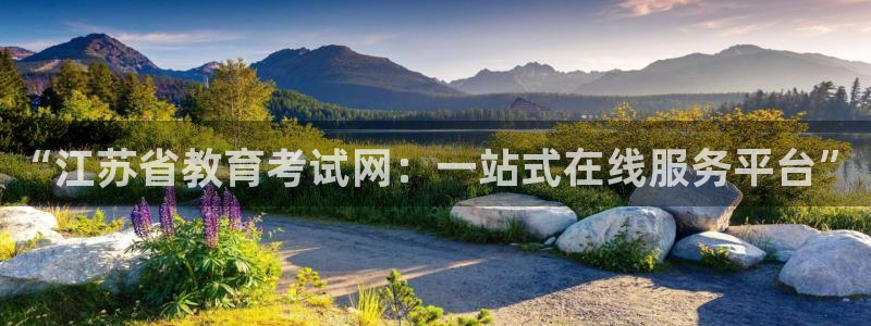 安信cw12系列