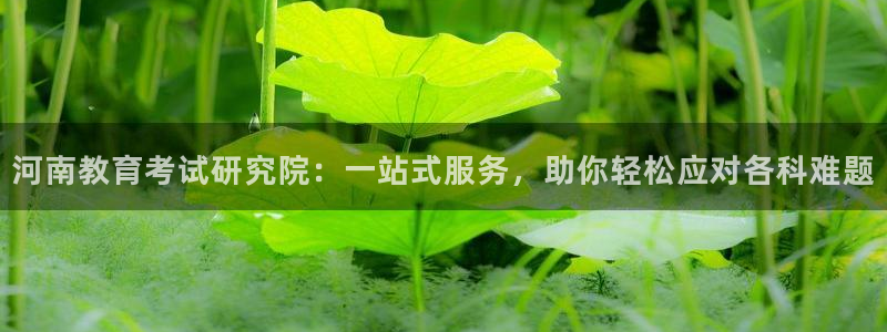 安信12平台介绍