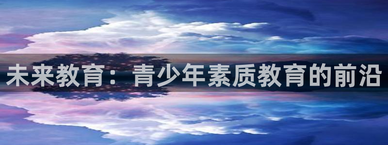 安信12主管