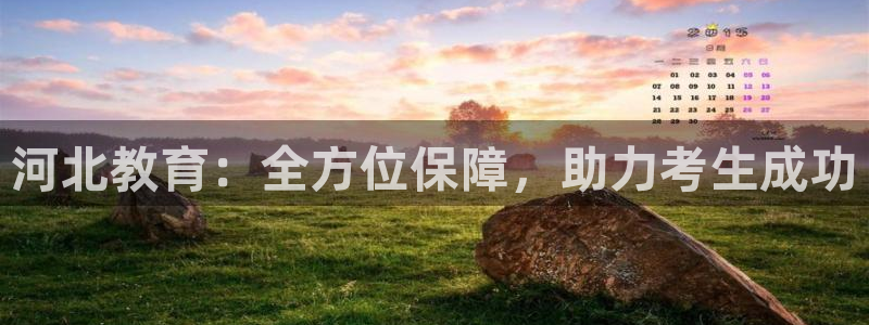 安信12主管