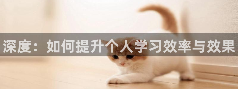安信312 12