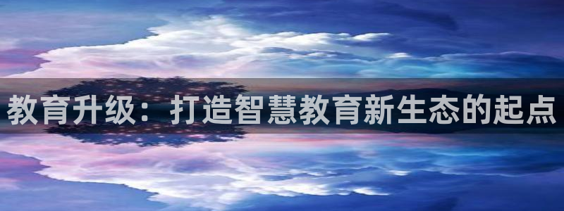 安信证券手机壳12