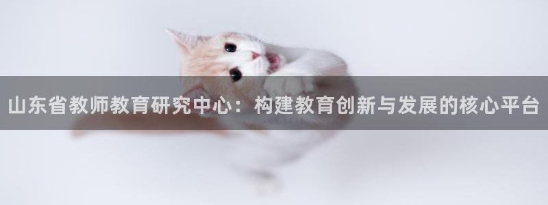 信安12乐打棒