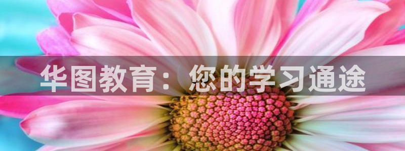 安信主管ke金12手12指ho
