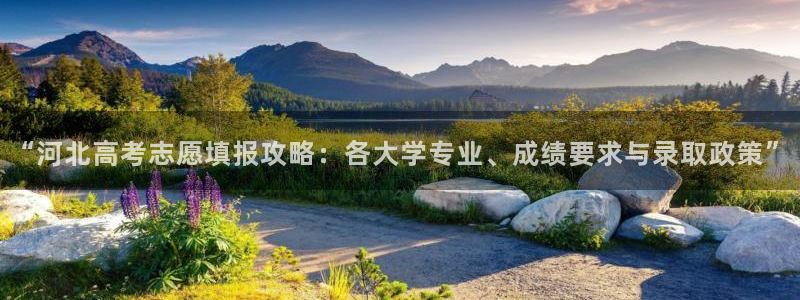 安信12彩票app下载