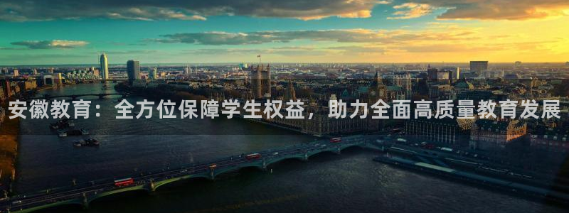 安信12专用挂机