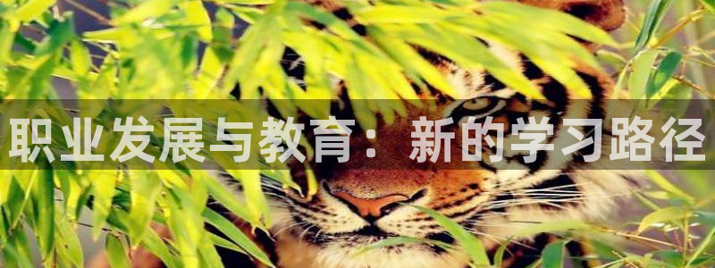 安信12彩票在线网址