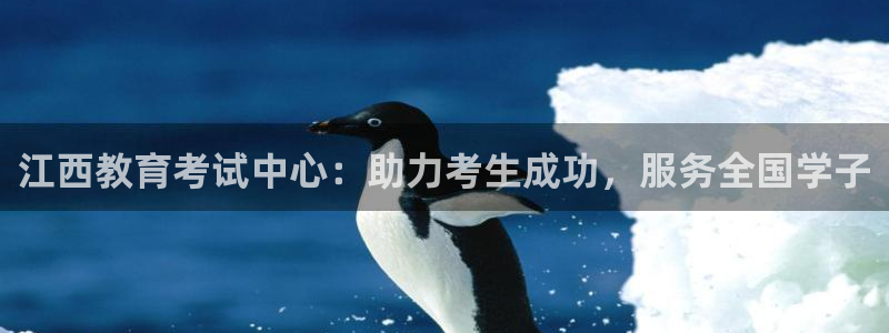 安信cw12系列