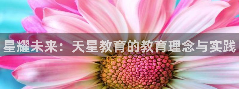 安信12官网