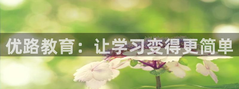 12月安信推荐