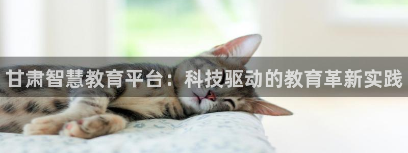 安信证券 12位
