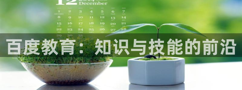 安信安翼 12账号