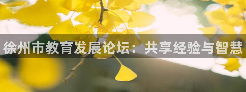 安信12真假