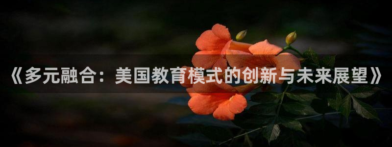 安信信托12 期