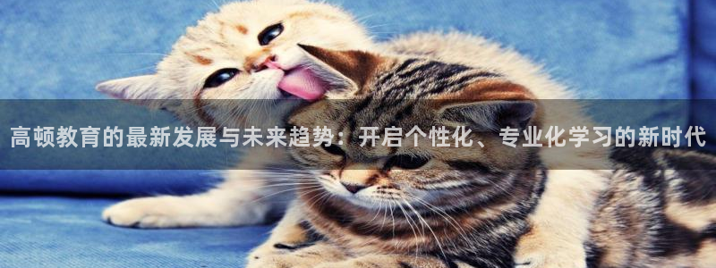 安信12官网