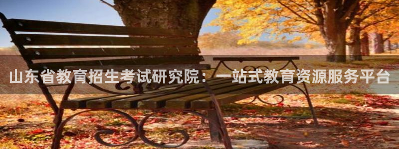 安信12主管