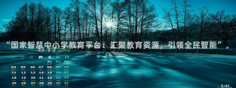 安信12级
