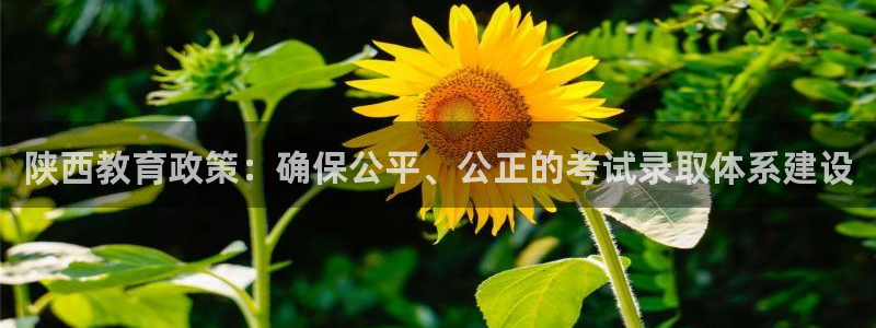 安信12怎么下载