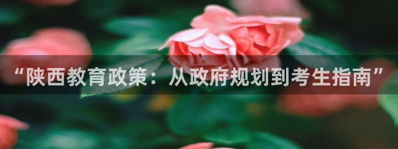 安信12官方下载