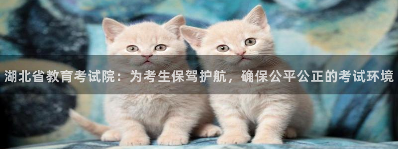 安信12级大众