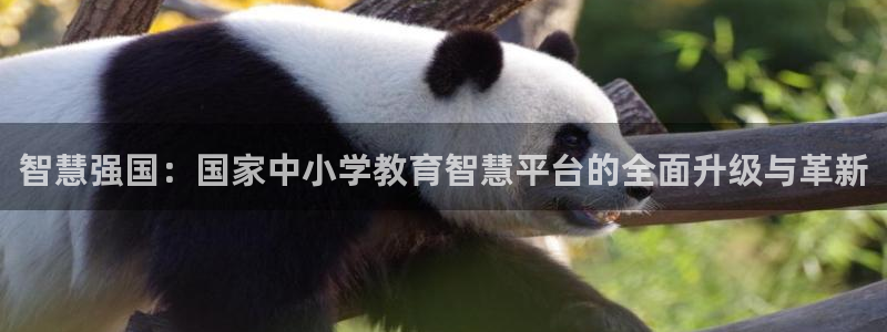 安信12官方网站查询