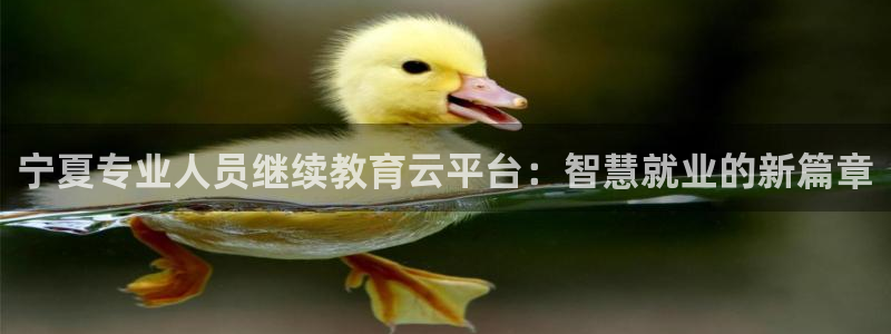 安卓12微信