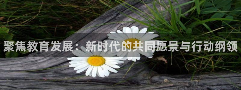 安信12是什么软件