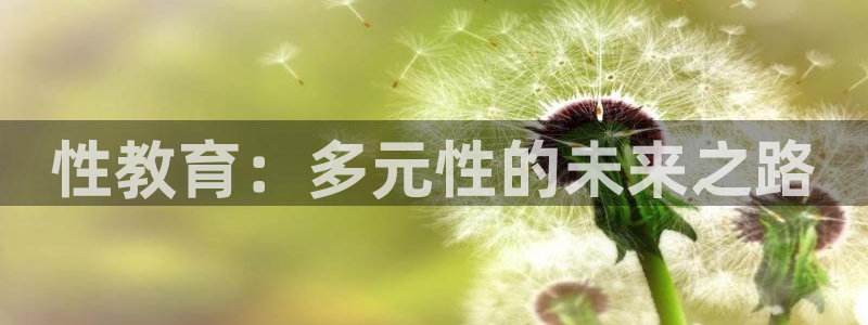 安信12