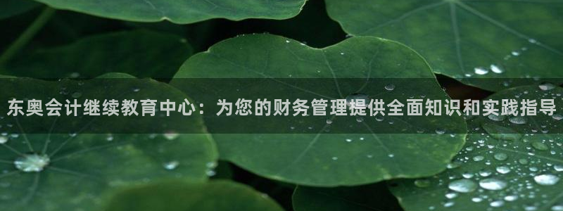 安信12app