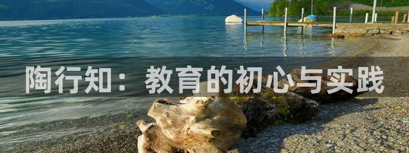 安信可wb12