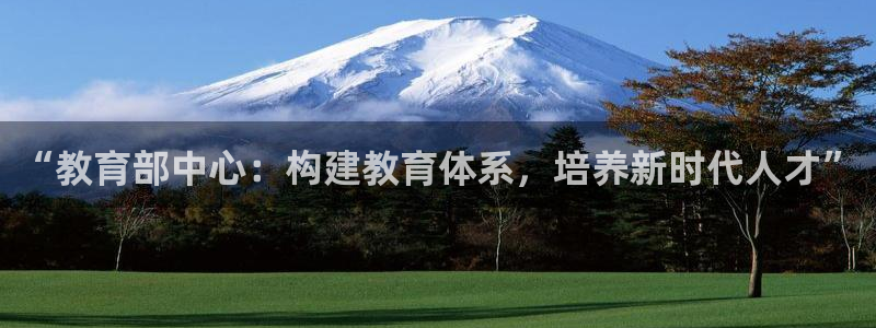 安信312 12