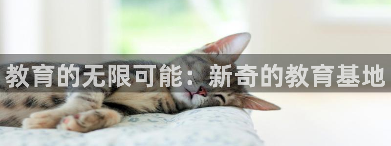 安信安盈12最新消息