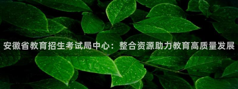 安信12代理