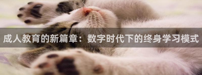 安信12是正规平台吗
