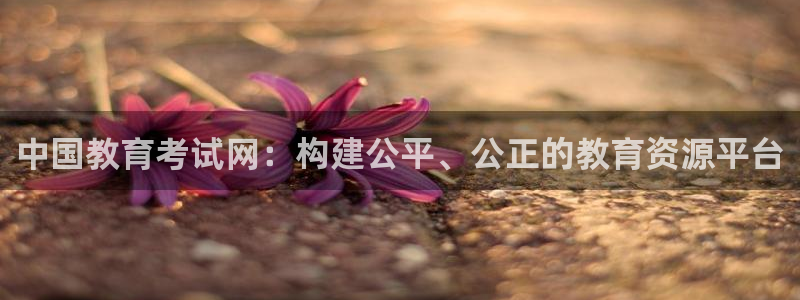 安信12平台可靠吗