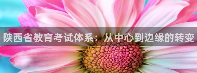 安信安盈12最新消息