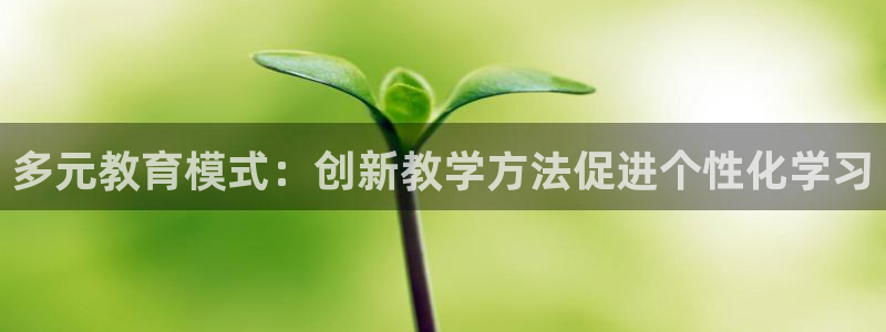 安信安盈12最新消息