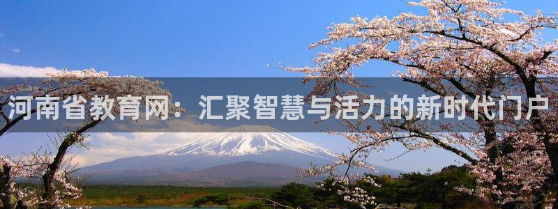 安信12官方网站查询