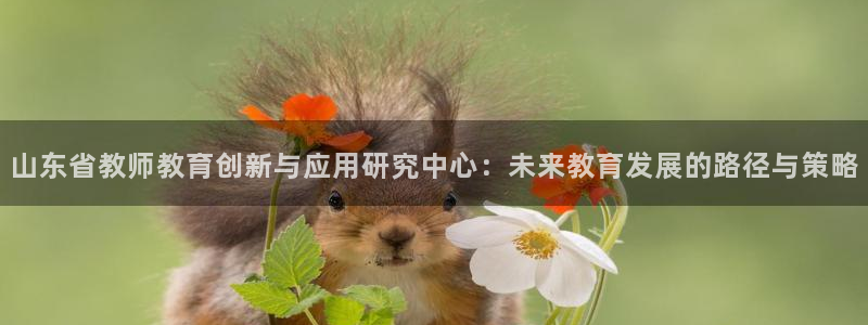 安信安翼 12账号