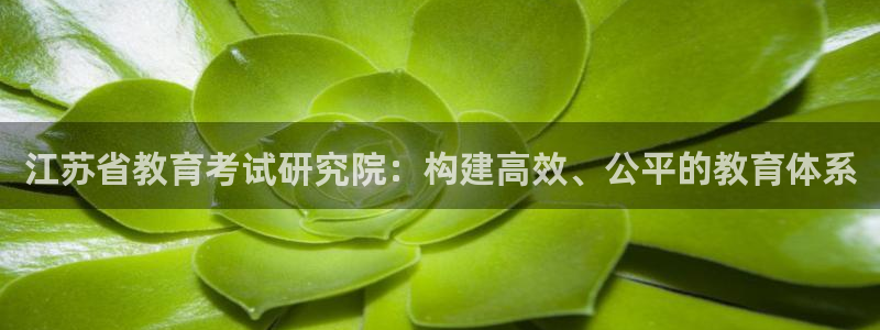 安信主管su金12手12指tq